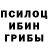 Псилоцибиновые грибы мухоморы Leonid Riabokon